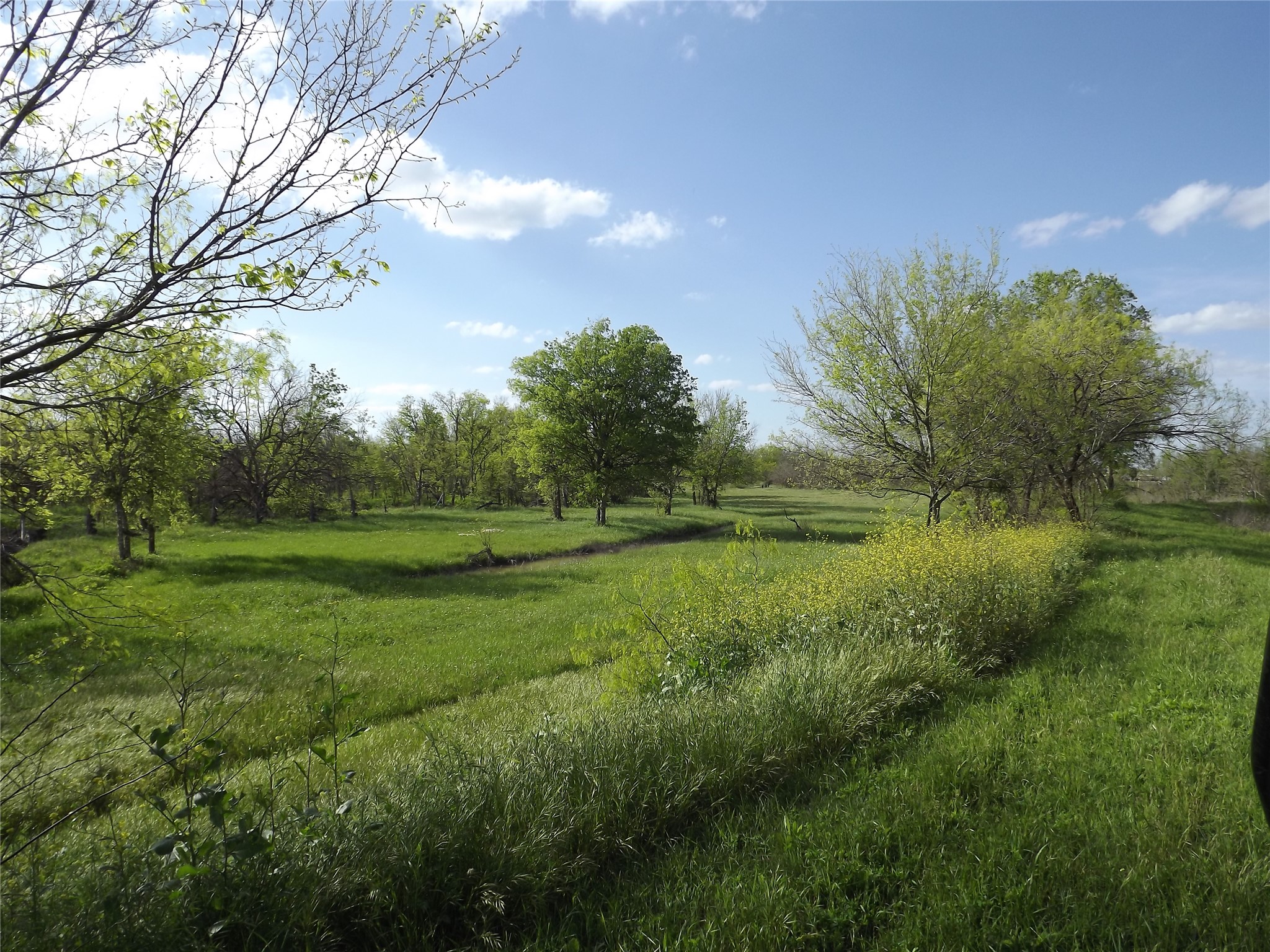 11248 Tom Sassman Road Austin, TX 78747 - Photo 2 of 24