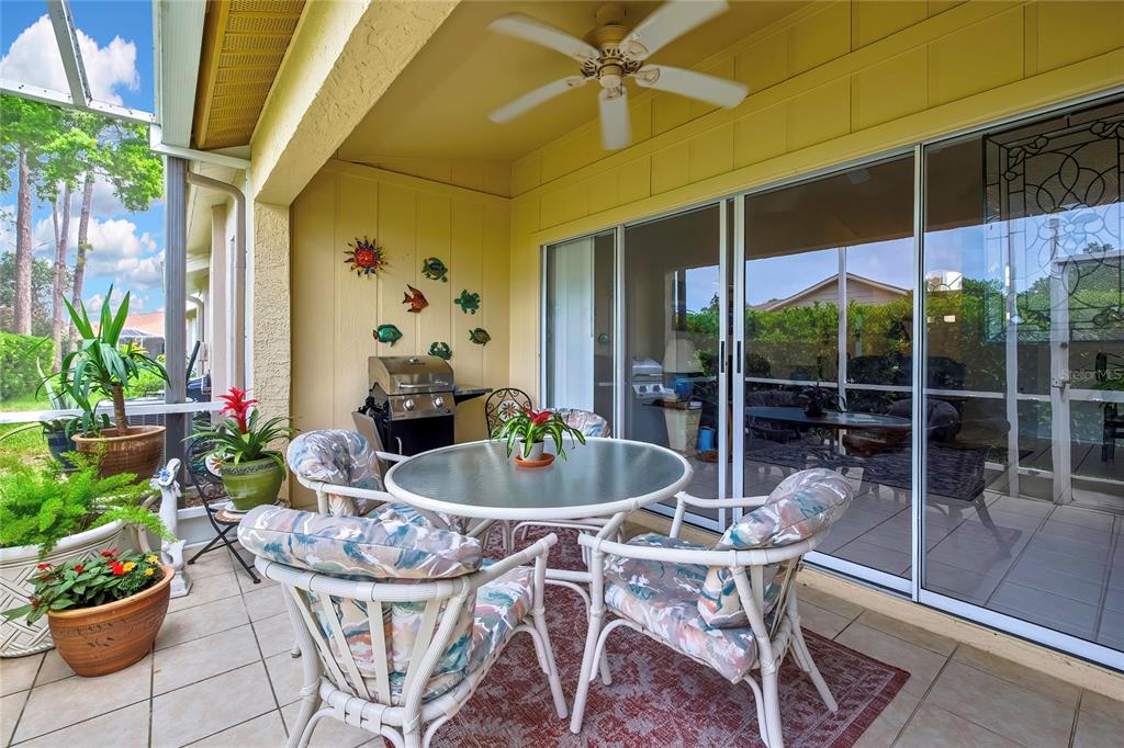 6447 Pine Walk Drive New Port Richey, FL 34655 - Photo 18 of 22