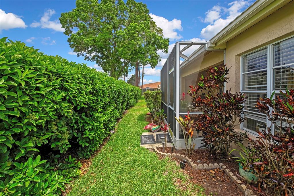 6447 Pine Walk Drive New Port Richey, FL 34655 - Photo 20 of 22