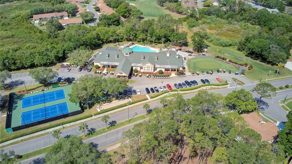 6447 Pine Walk Drive New Port Richey, FL 34655 - Photo 21 of 22