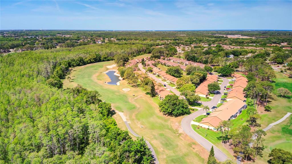 6447 Pine Walk Drive New Port Richey, FL 34655 - Photo 22 of 22