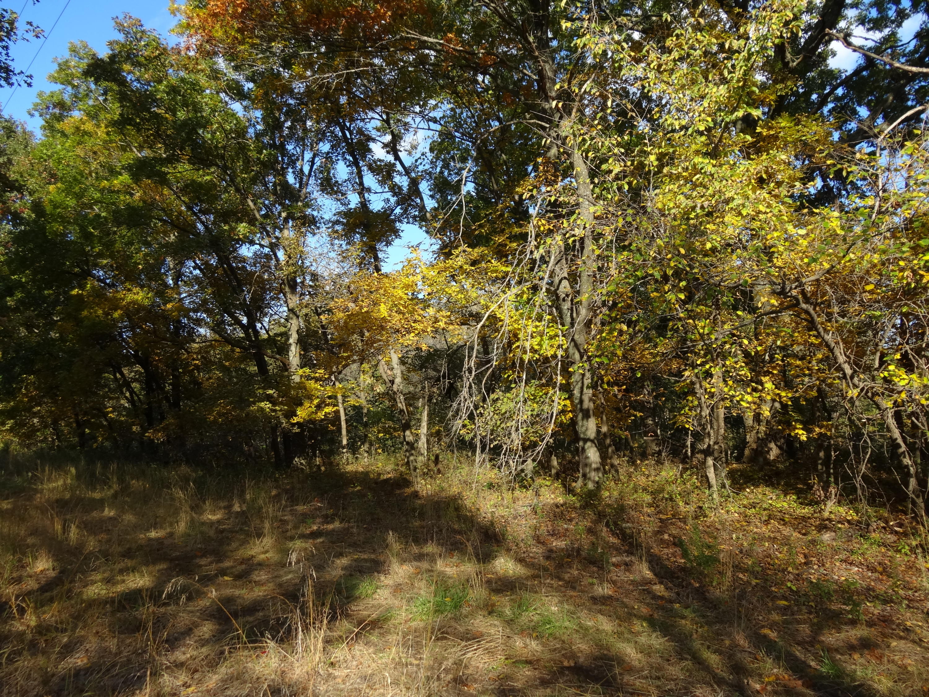 6 R R Wann, OK 74083 - Photo 11 of 48 Gallery Image 11