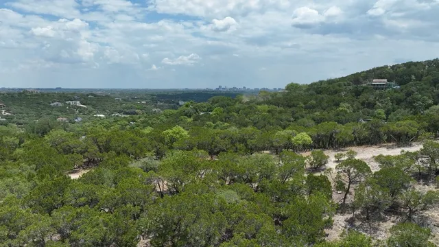 an aerial view of residential houses with outdoor space and trees