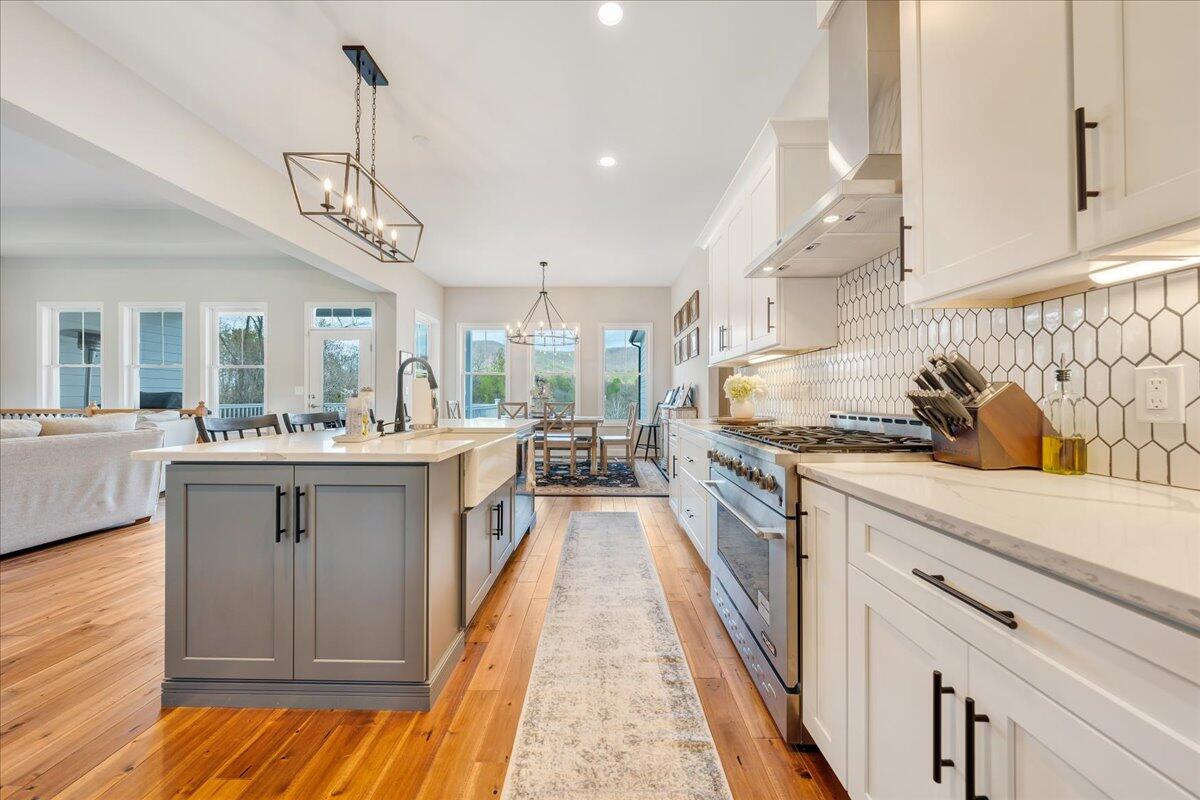 198 Thornblade Way Blue Ridge, VA 24064 - Photo 15 of 78 Over-sized walk-in Pantry
