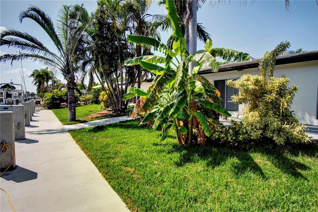 3860 Northeast 23rd Avenue Lighthouse Point, FL 33064 - Photo 29 of 33 a view of a backyard with plants