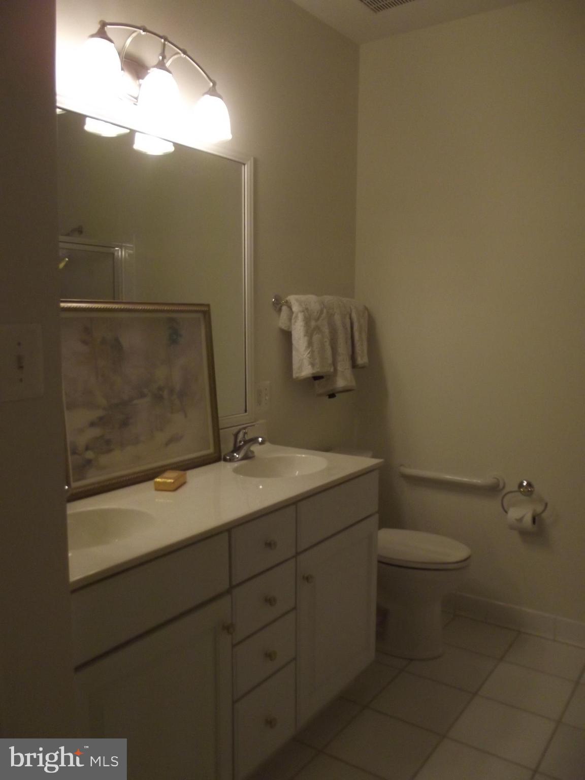 2603 Mill Race Road Frederick, MD 21701 - Photo 22 of 30 Master Bath