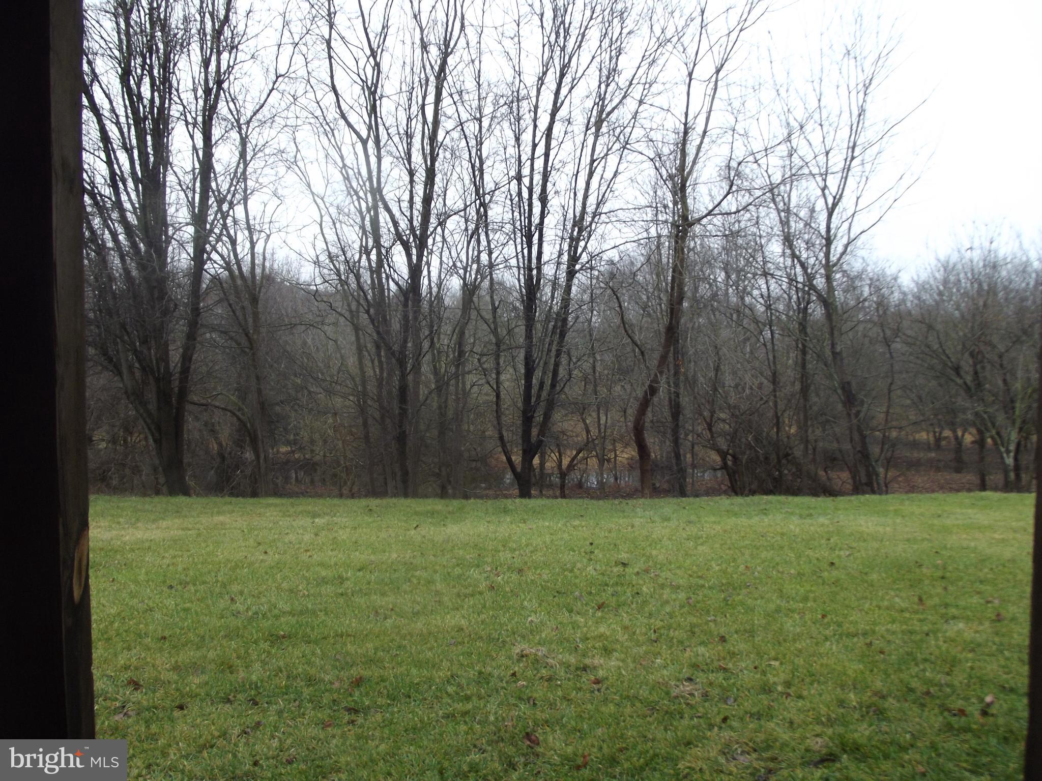 2603 Mill Race Road Frederick, MD 21701 - Photo 8 of 30 View of back yard from basement