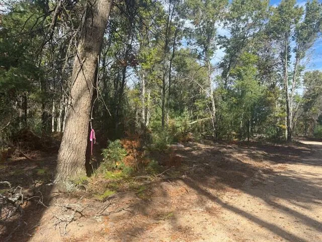 $32,900 | Parcel B West 16th Street, Baldwin, MI 49304