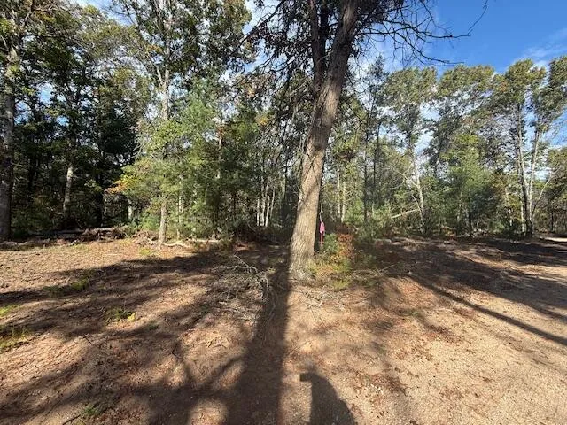 $32,900 | Parcel B West 16th Street, Baldwin, MI 49304