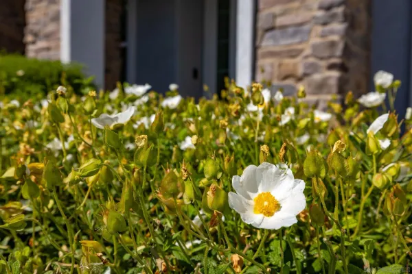 $1,085,000 | 3029 VÃa De Todos Santos, Fallbrook, CA 92028