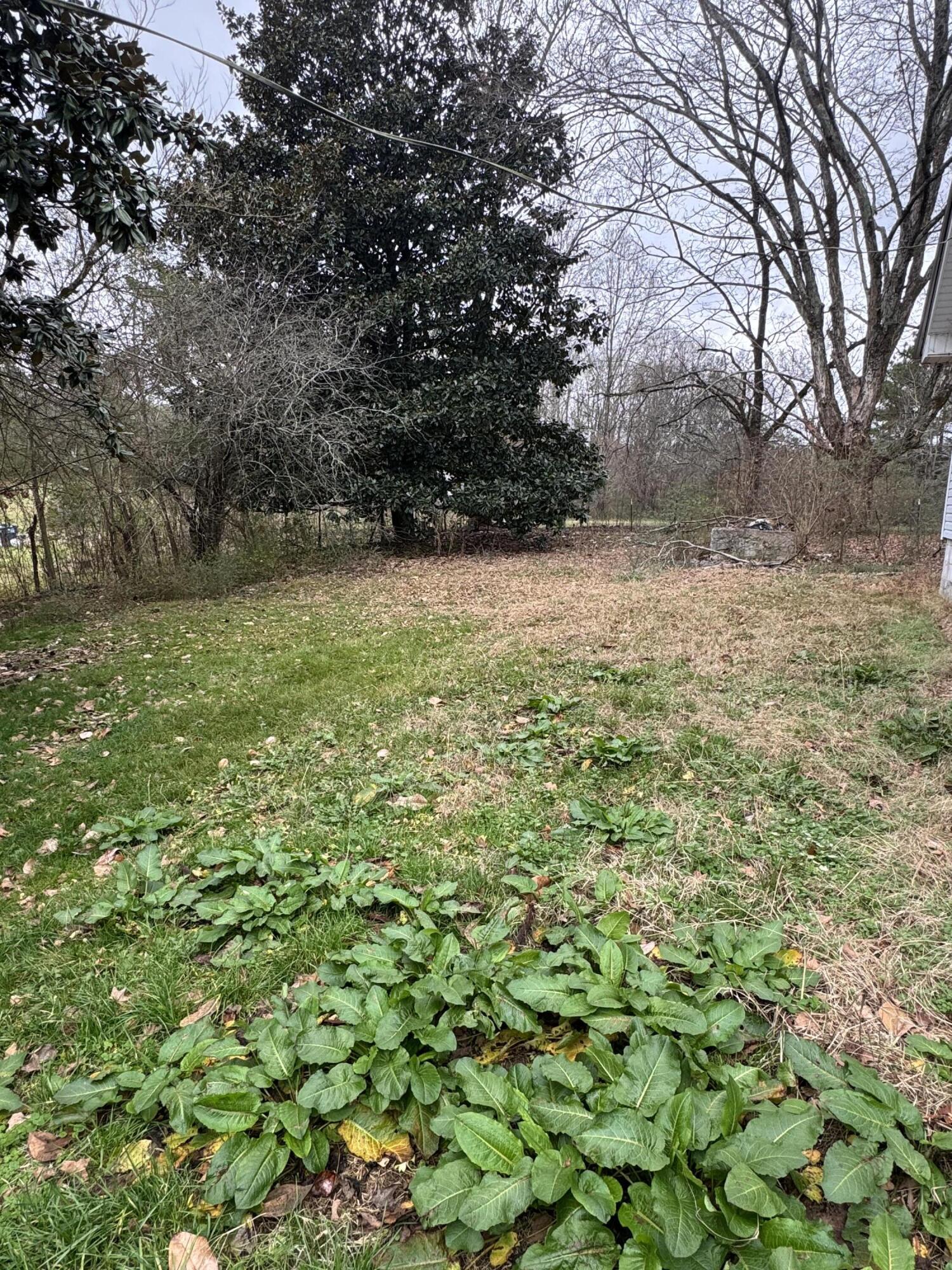 56 Meacham Road Rossville, GA 30741 - Photo 7 of 17 IMG_5534