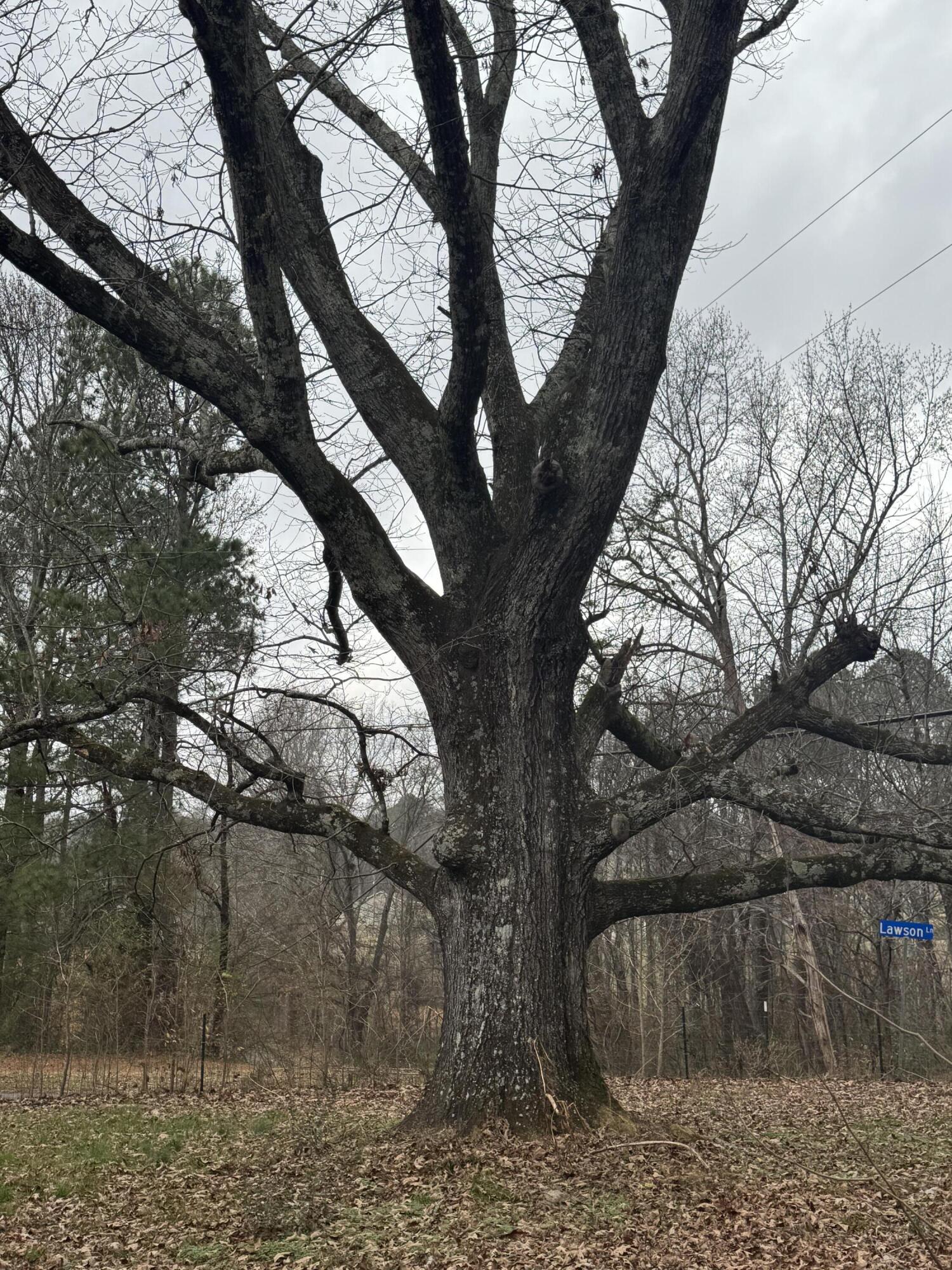 56 Meacham Road Rossville, GA 30741 - Photo 8 of 17 IMG_5533