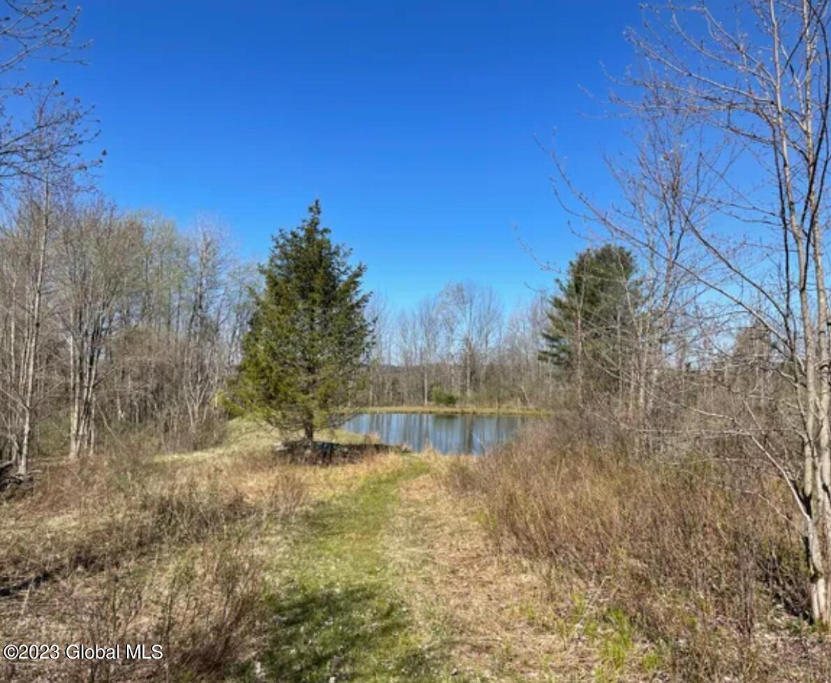 L22.07 Nersesian Road Hartwick, NY 13348 - Photo 3 of 8 3