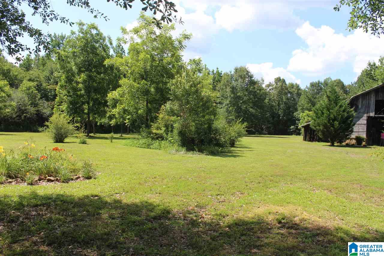 1623 Ripley Cutoff Road Carbon Hill, AL 35549 - Photo 38 of 38