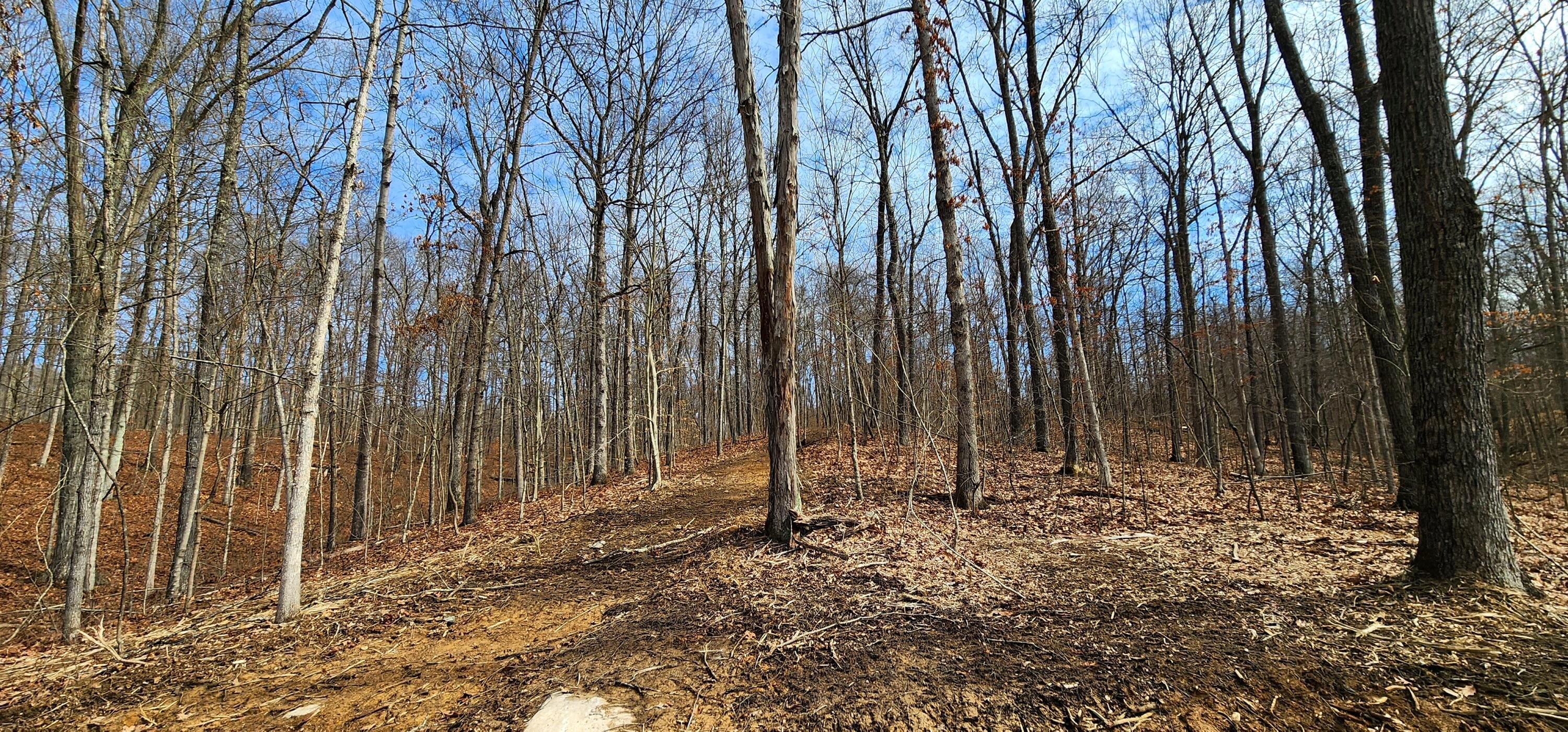 0 Edmundson Road, Unit TRACT 4 AT BIG TIMBER) Vinton, OH 45686 - Photo 13 of 67 14