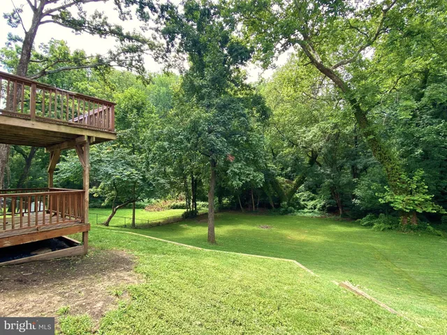 a view of a park with plants and wooden fence