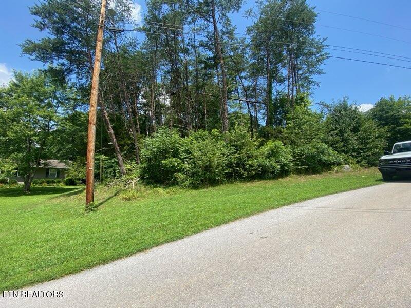 Lot 6 Scenic View Drive Rutledge, TN 37861 - Photo 4 of 7 IMG_6418
