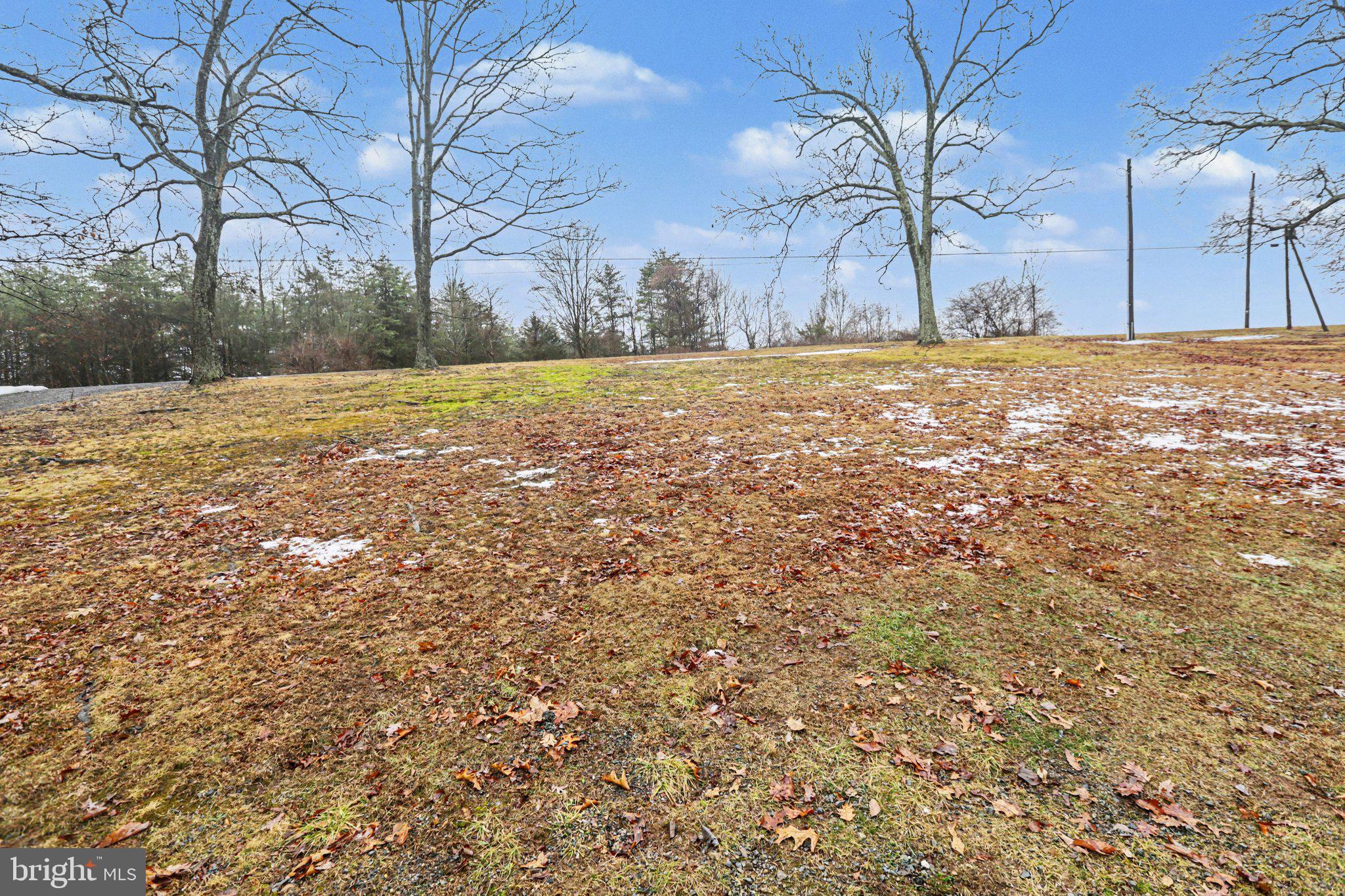 5600 Middle Ridge Road Newport, PA 17074 - Photo 43 of 56 Serene landscape with autumn leaves.