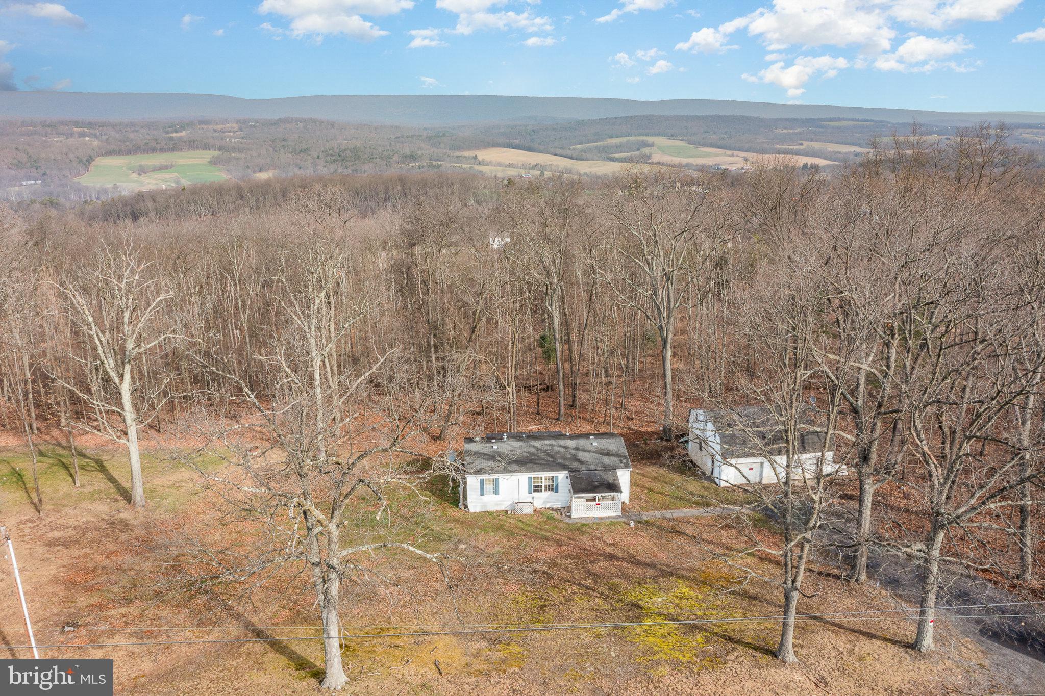 5600 Middle Ridge Road Newport, PA 17074 - Photo 47 of 56 Serene retreat amid nature's embrace.