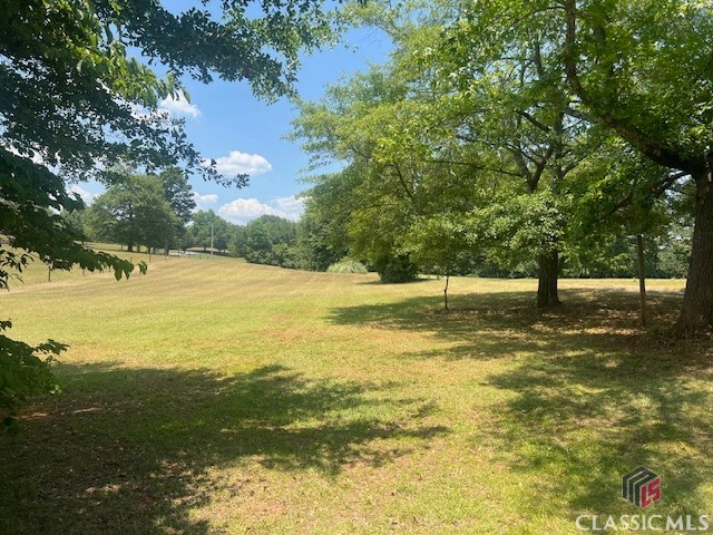 3355 Jack Glass Road Monroe, GA 30656 - Photo 11 of 41 YARD VIEW