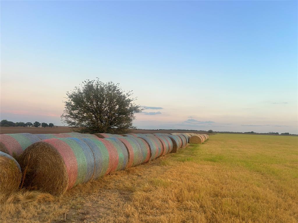 323 Slaughter Olney, TX 76370 - Photo 24 of 33 Gallery Image 24