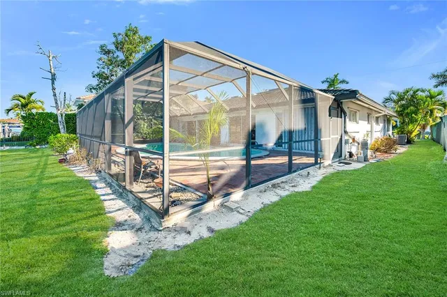 a view of a park with a large tree