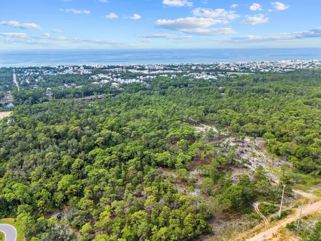 a view of a city with lush green forest