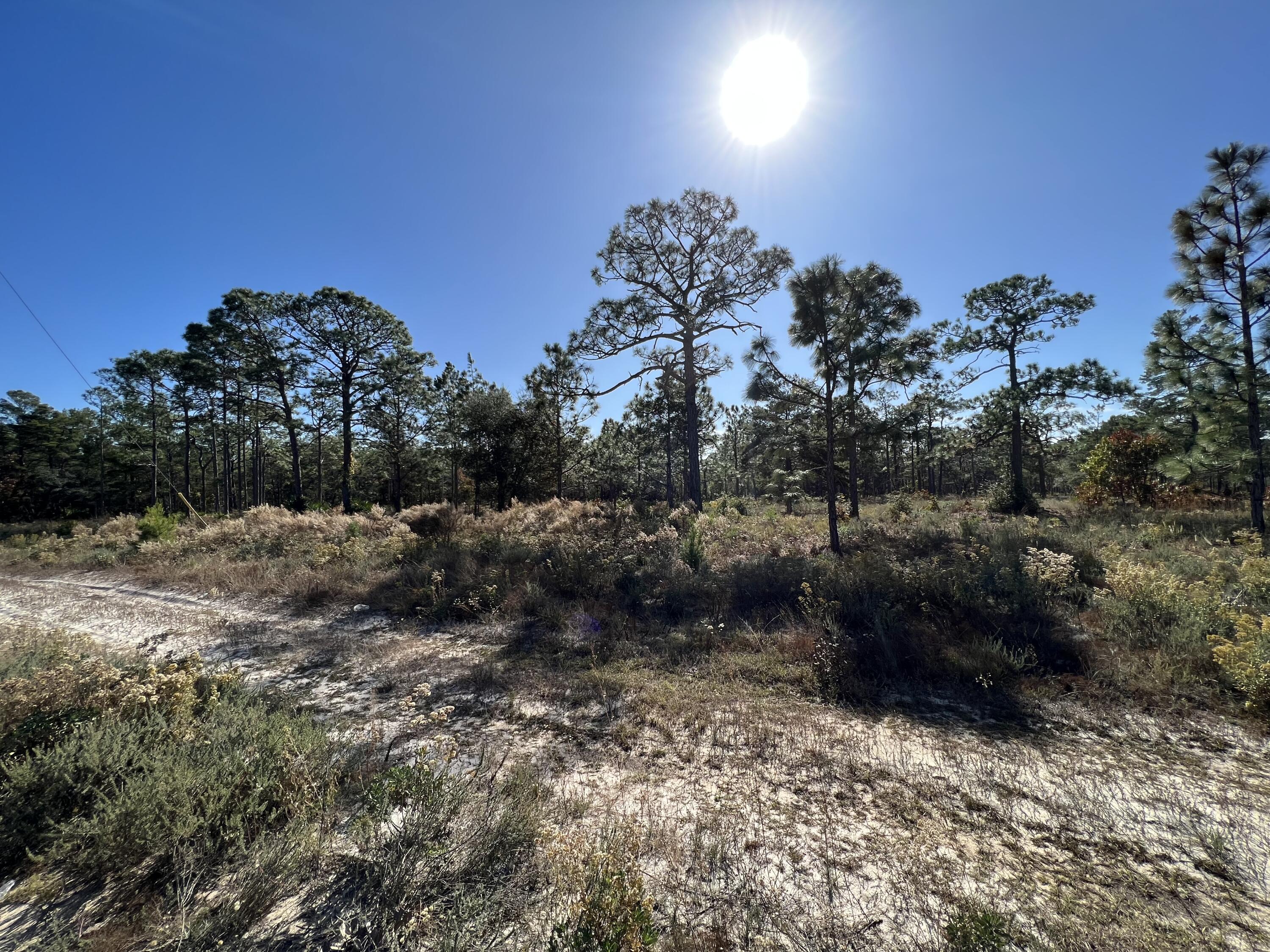 Lot 3 Jeep Rd Inlet Beach Inlet Beach, FL 32461 - Photo 5 of 10 Jeep Road Parcel