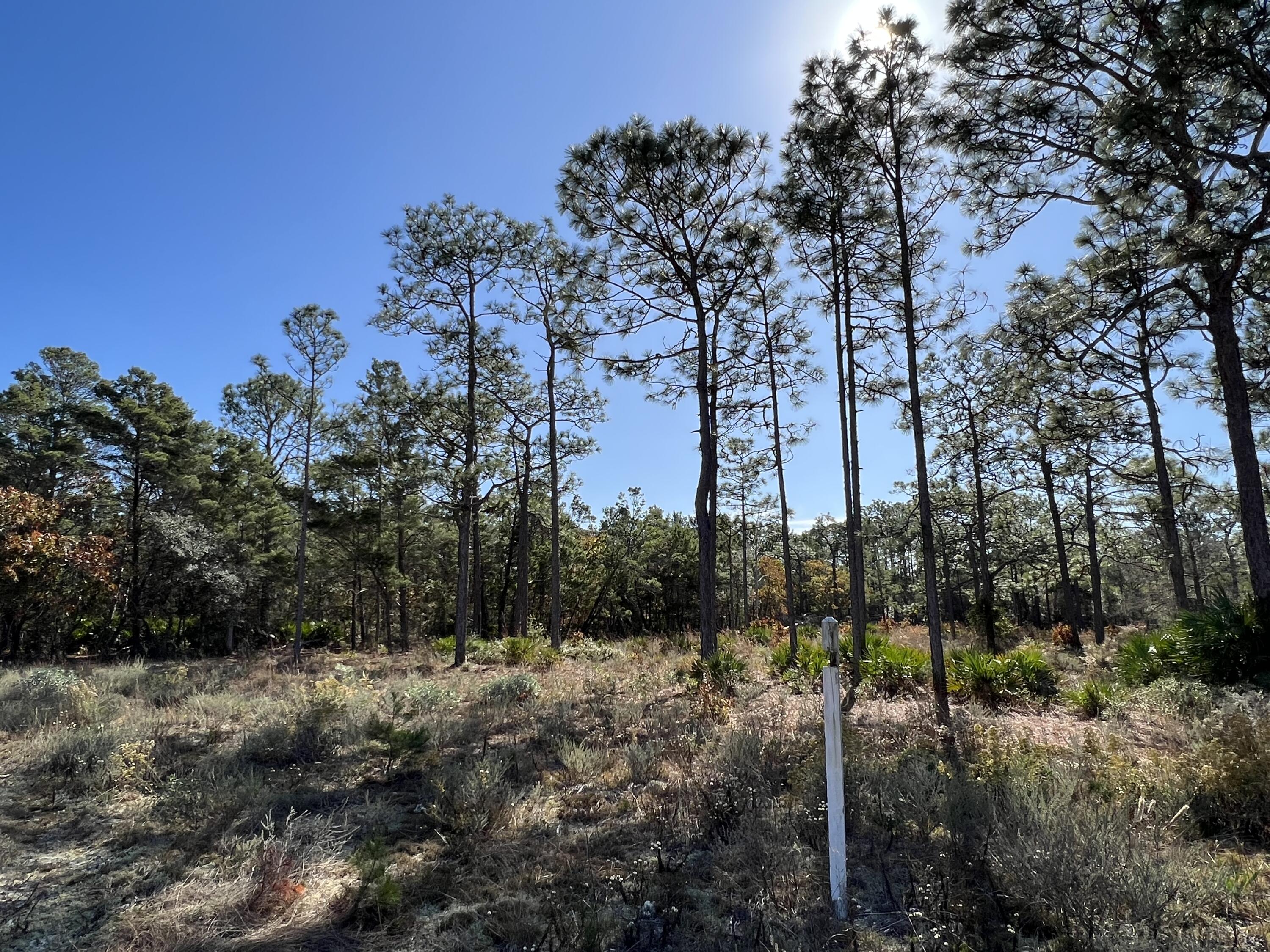 Lot 3 Jeep Rd Inlet Beach Inlet Beach, FL 32461 - Photo 9 of 10 Jeep Road Parcel
