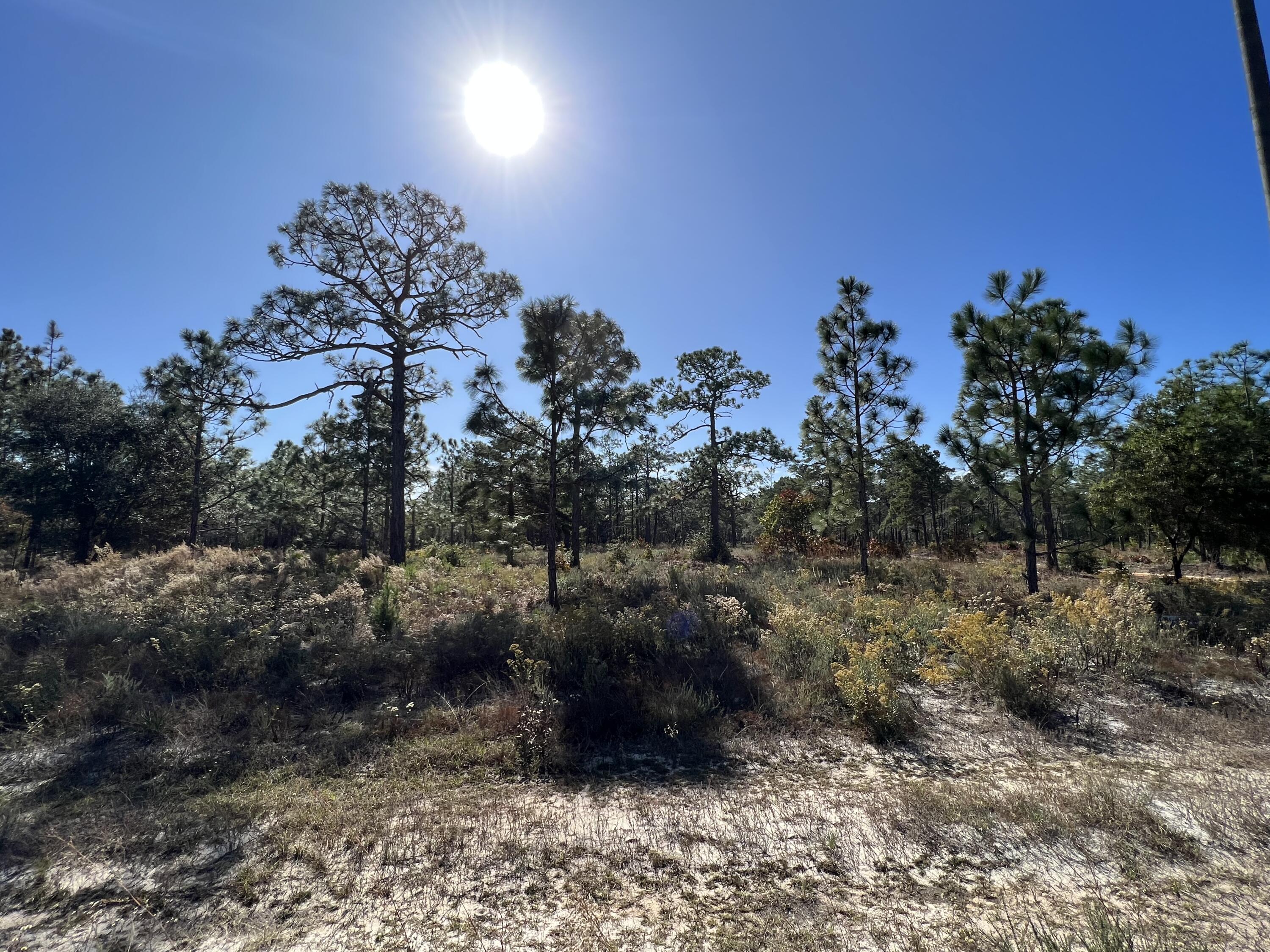 Lot 3 Jeep Rd Inlet Beach Inlet Beach, FL 32461 - Photo 10 of 10 Jeep Road Parcel
