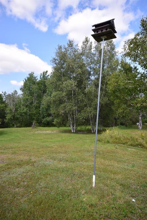 338 Military Road Winn, ME 04495 - Photo 35 of 35 The birds will come to visit in...