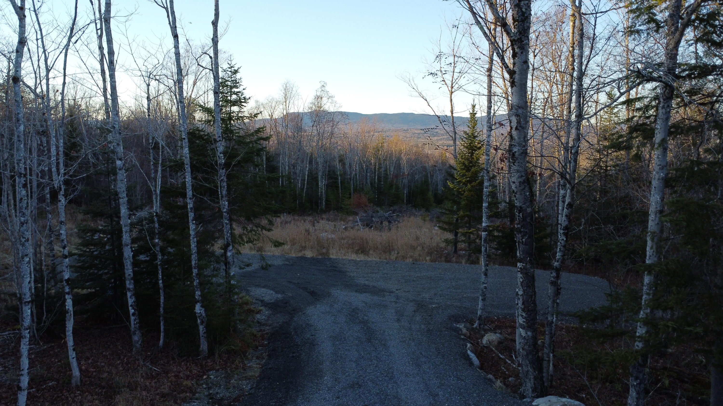 Lot 20 Moose Rdg Road Dallas Plt, ME 04970 - Photo 8 of 30 DJI_0093