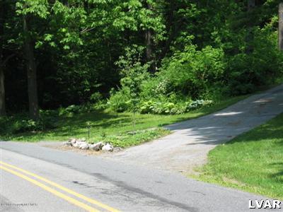 0 Fiddletown Road Kunkletown, PA 18058 - Photo 2 of 10 a view of a garden with a pathway