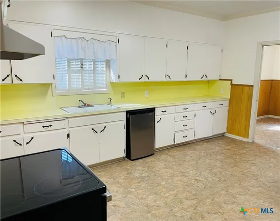 a kitchen with a sink a stove and cabinets