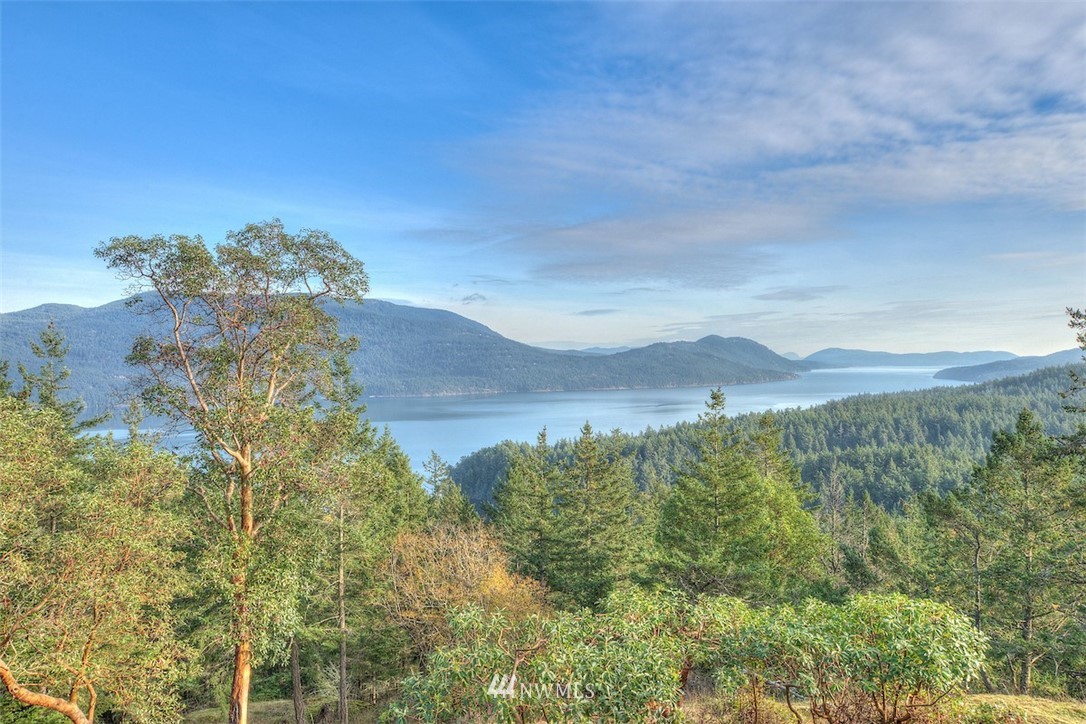 404 Blanc Road Orcas Island, WA 98245 - Photo 2 of 36 Gallery Image 2