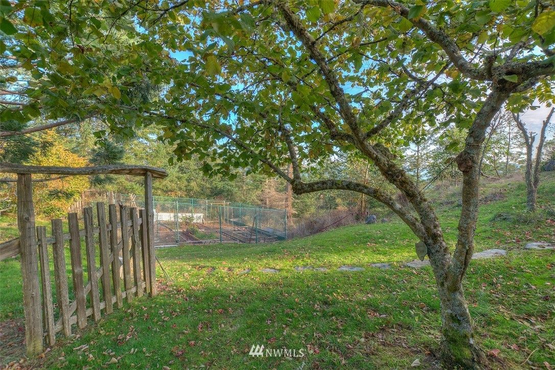 404 Blanc Road Orcas Island, WA 98245 - Photo 26 of 36 Gallery Image 26