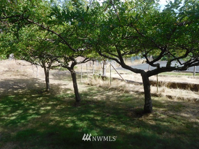 404 Blanc Road Orcas Island, WA 98245 - Photo 27 of 36 Gallery Image 27
