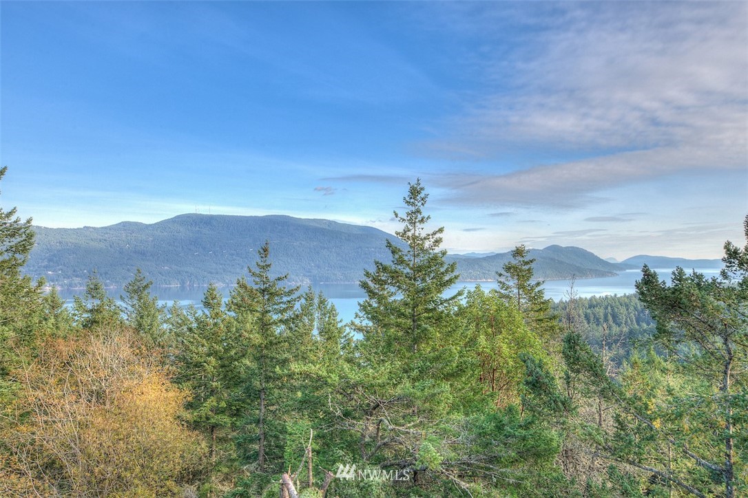 404 Blanc Road Orcas Island, WA 98245 - Photo 32 of 36 Gallery Image 32