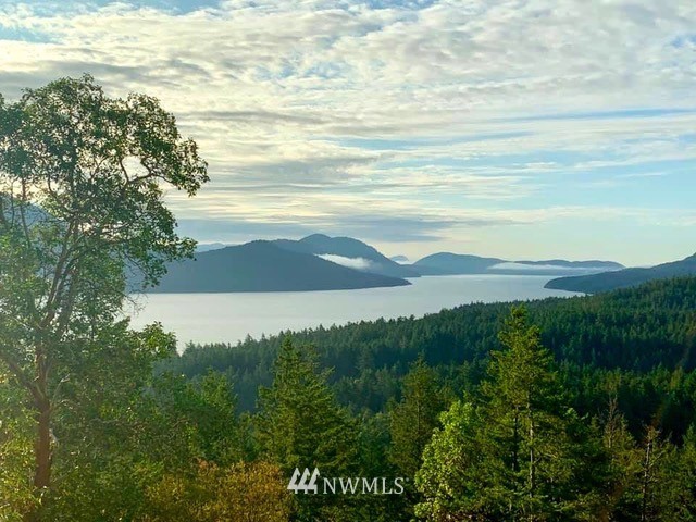 404 Blanc Road Orcas Island, WA 98245 - Photo 34 of 36 Gallery Image 34