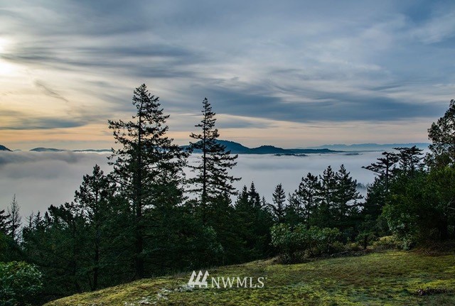 404 Blanc Road Orcas Island, WA 98245 - Photo 35 of 36 Gallery Image 35