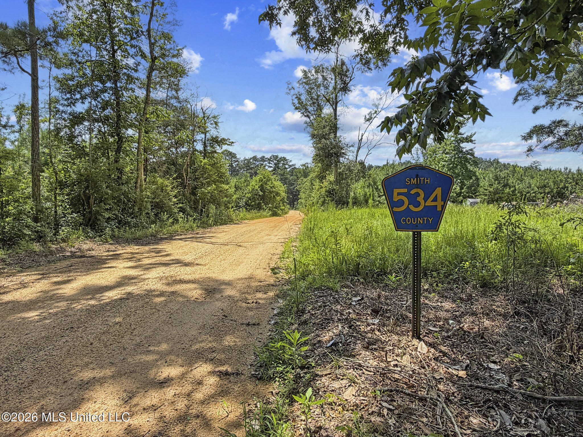 13 Co Road Louin, MS 39338 - Photo 3 of 29 IMG_3416