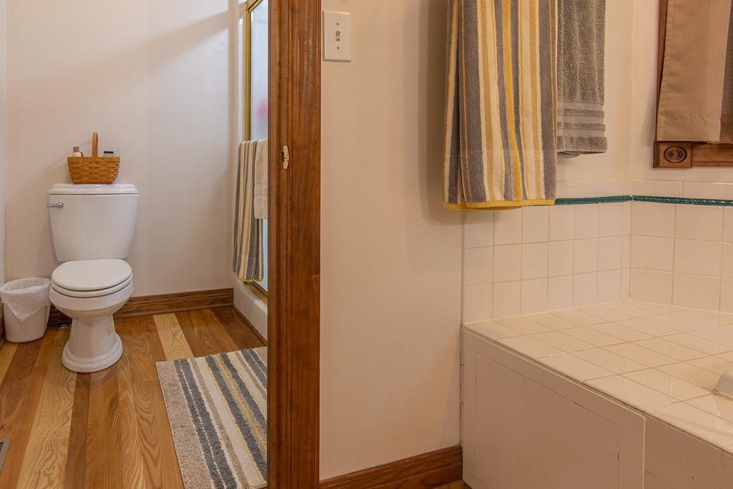 1140 Lees Gap Road Fincastle, VA 24090 - Photo 51 of 63 Master bath