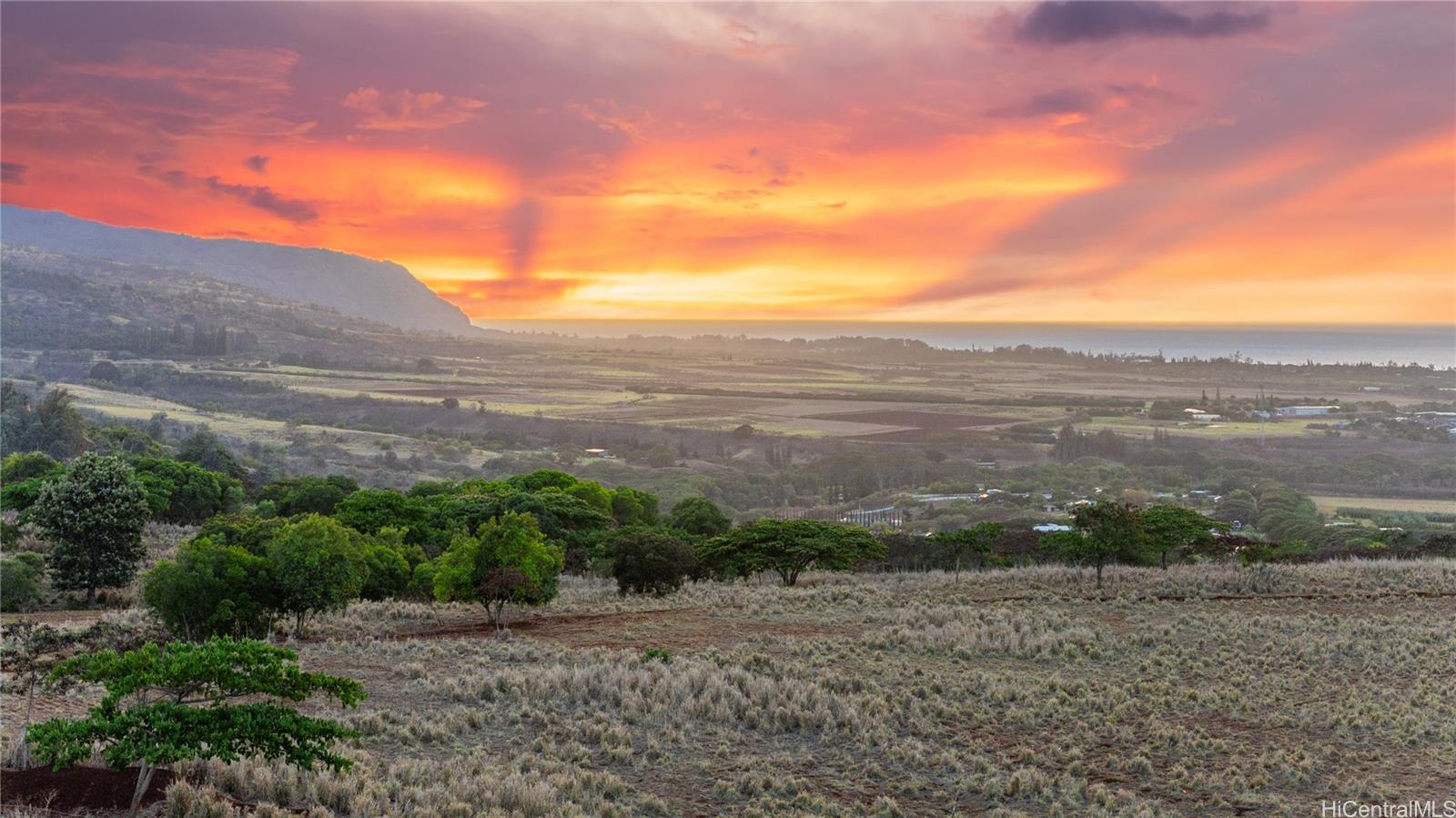 65-283 Kaukonahua Road, Unit 5 Wahiawa, HI 96786 - Photo 3 of 25 a view of a yard with an outdoor space