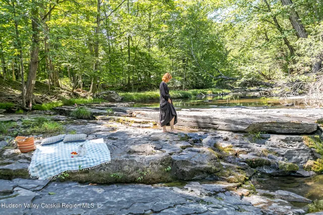 a view of a park with large trees