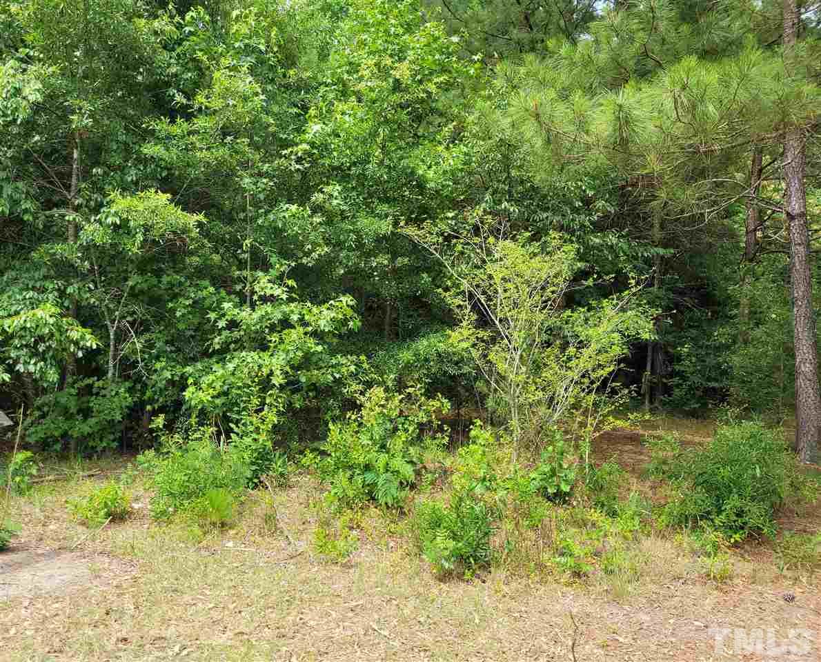0 Pendergraft Road Bunnlevel, NC 28323 - Photo 1 of 2 Gallery Image 1