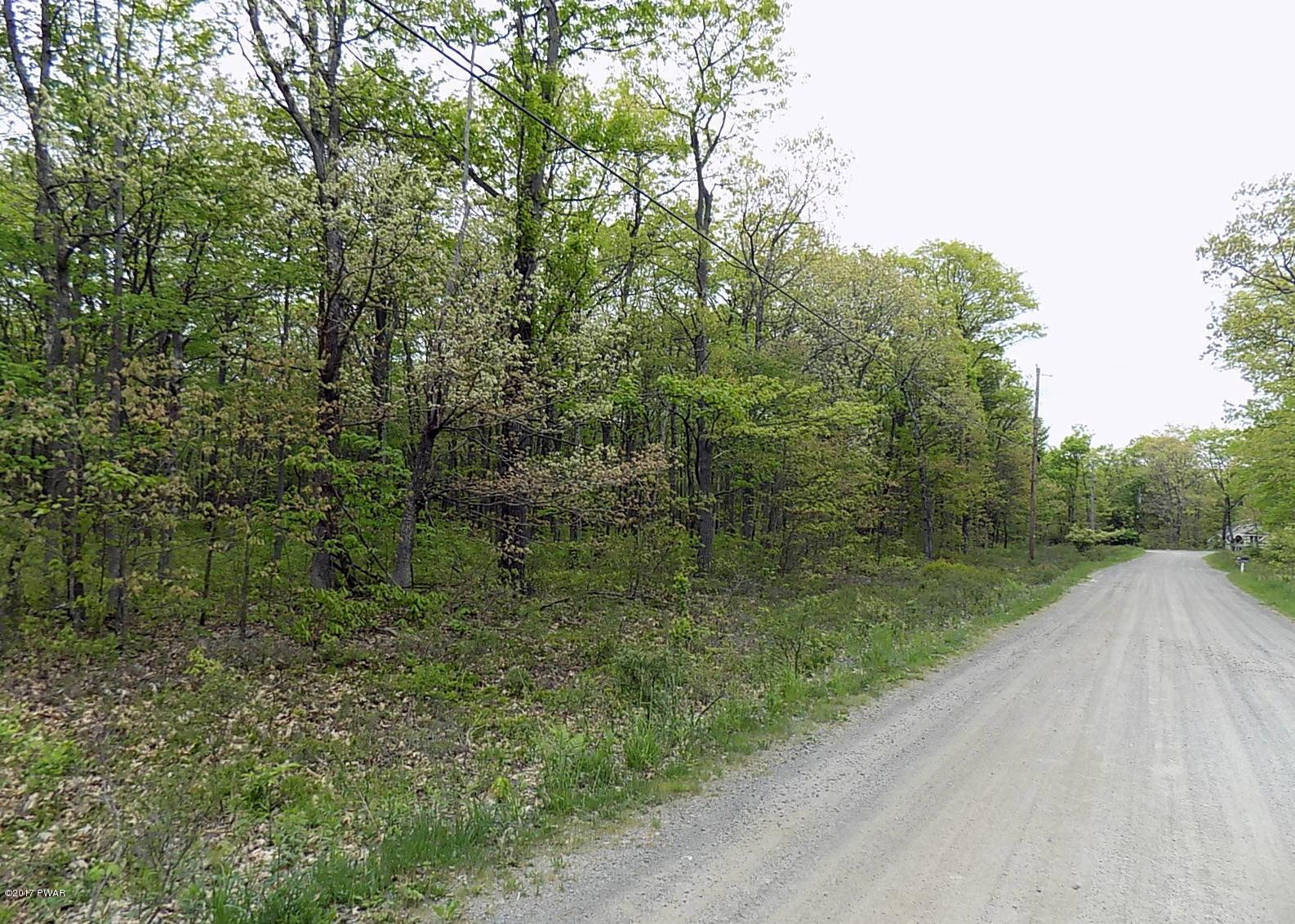 Lot 15 Bloss Road Road Canadensis, PA 18325 - Photo 2 of 6