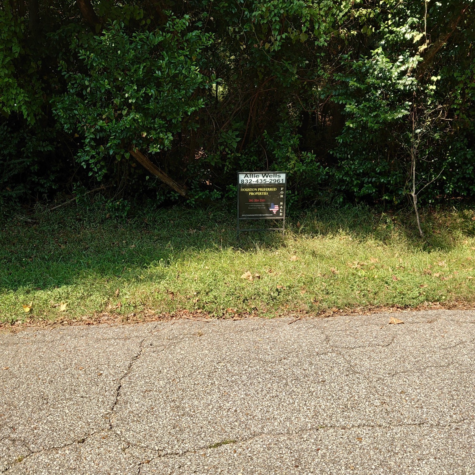 a view of lake with a trees