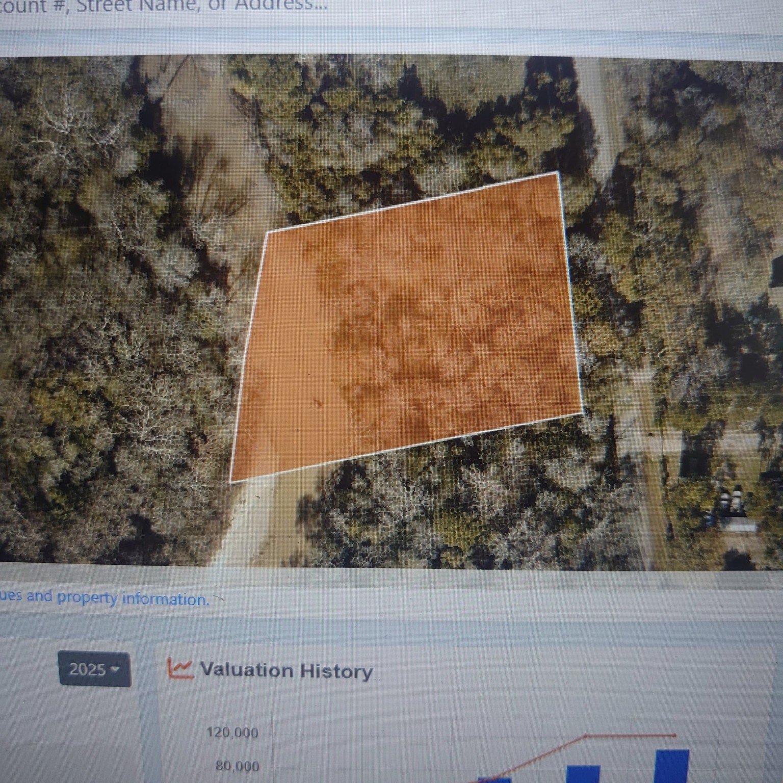 0 Casey Road New Caney, TX 77357 - Photo 2 of 3