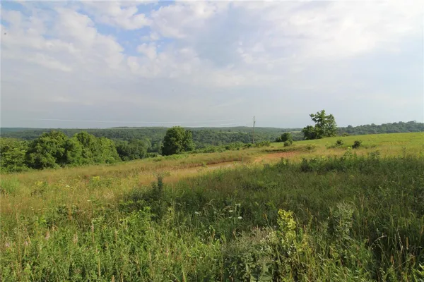 $139,900 | 0 Hwy 137 Willow Springs, Willow Springs, MO 65793