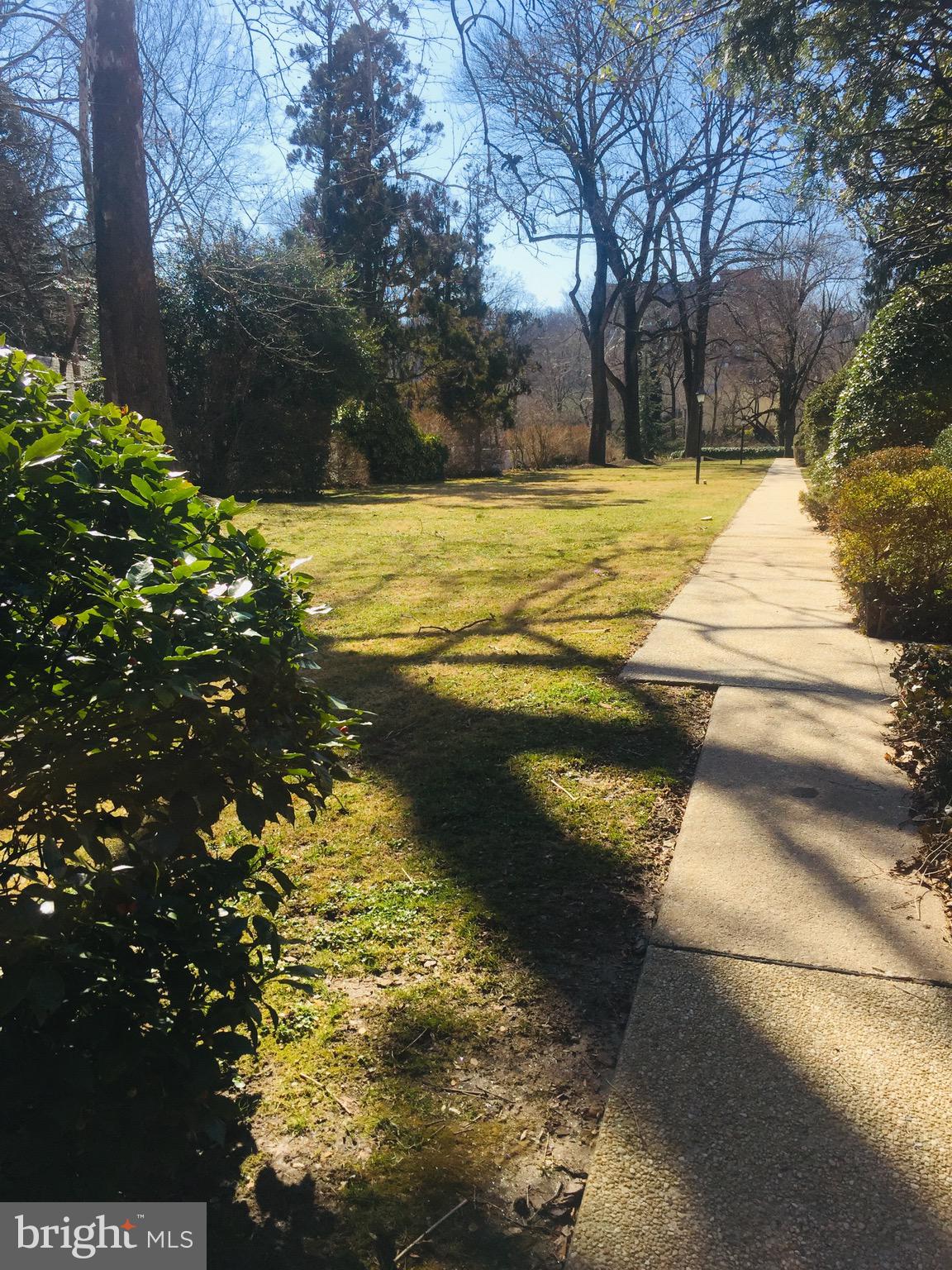 5203 Falls Road, Unit 16 Baltimore, MD 21210 - Photo 22 of 25 a view of a yard with an outdoor space